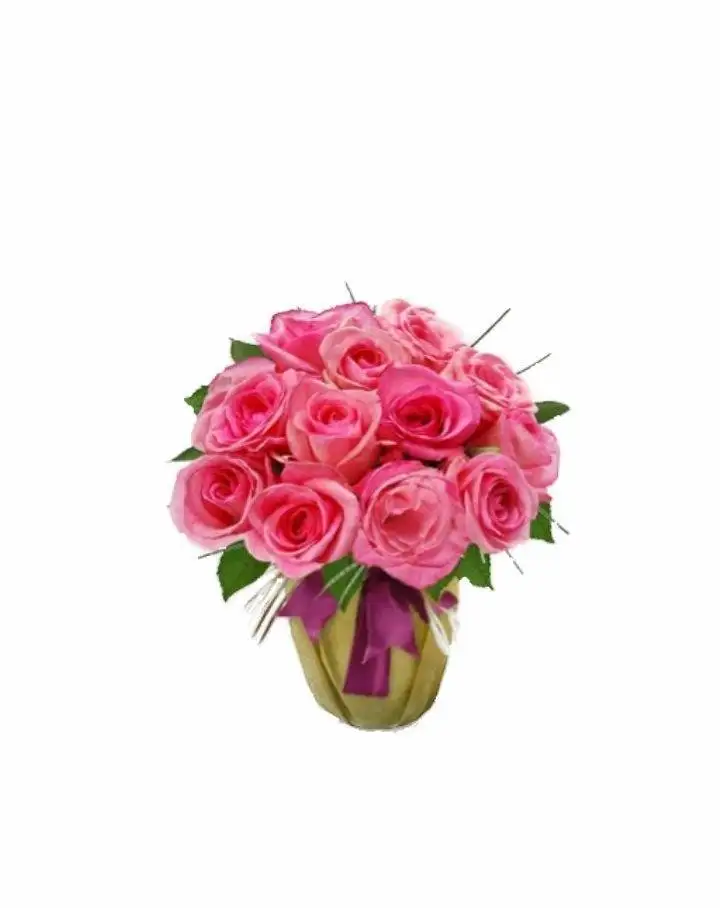 Pink Roses Vase