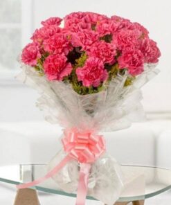 Pink Carnations Bunch