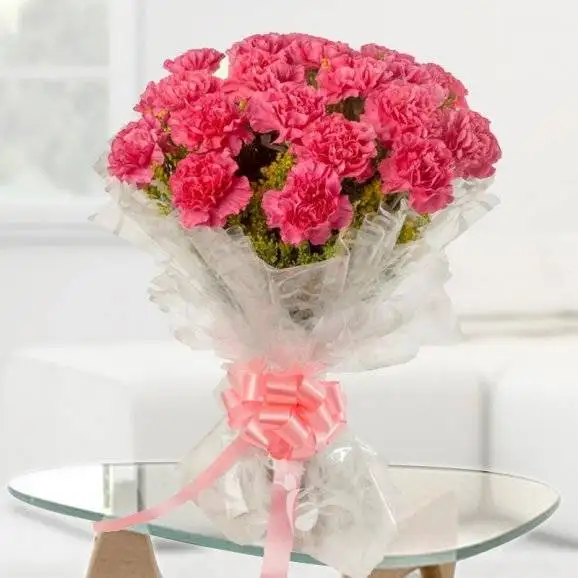 Pink Carnations Bunch