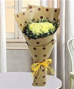 Pretty Carnations