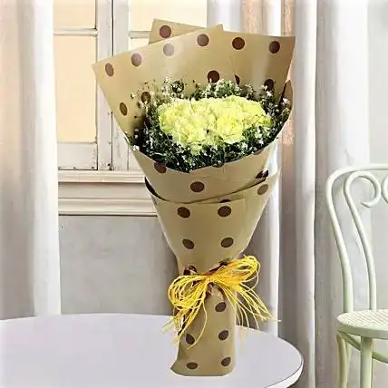 Pretty Carnations