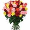 Attractive  Carnations