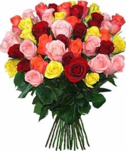 Attractive  Carnations