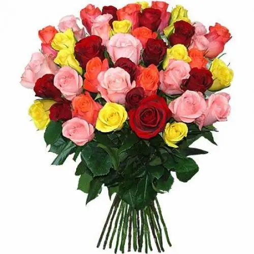 Attractive  Carnations