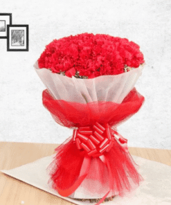 Carnation Love