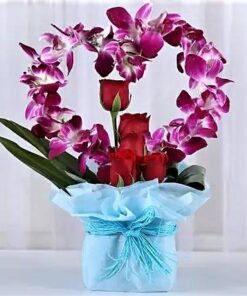 Orchids and Rose Set