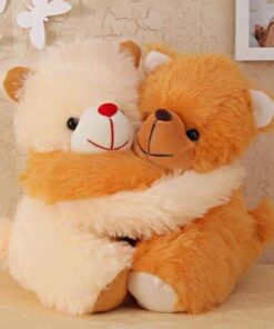 Hug Day Special Teddies