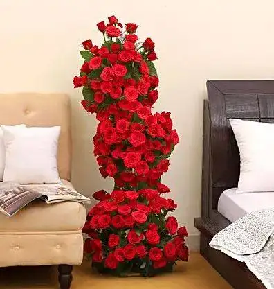 Red Love Long  Roses