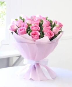 Pink Roses Shine