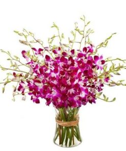 Pink Orchids Bunch