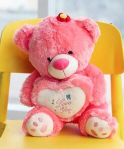 Soft Teddy Birthday Gifts