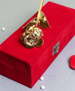 Classic Golden Roses