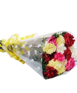 Mixed Carnations