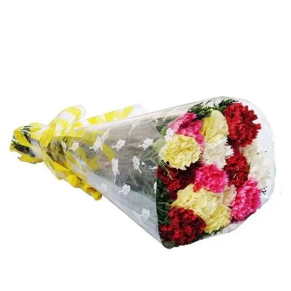 Mixed Carnations
