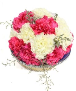 Carnations Set