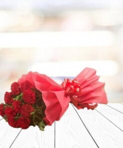Red Carnations Pack