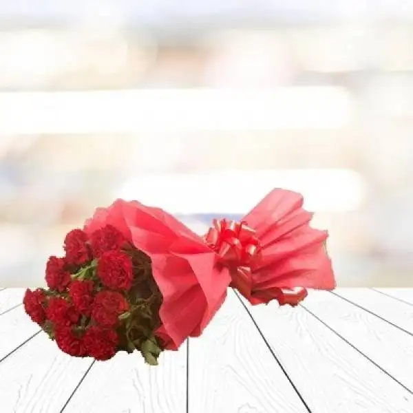Red Carnations Pack