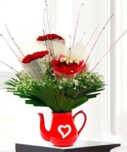 Occasion Special  Combo