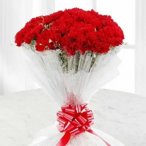 Bouquet of 10 Carnations