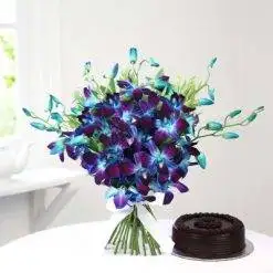 Truffly Orchids Pack