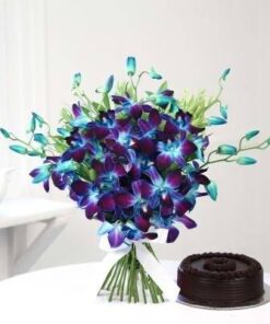 Truffly Orchids Pack