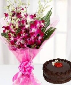 Filtered Orchids with Chocolate Cake