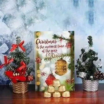 Beautiful Gerbera Bunch