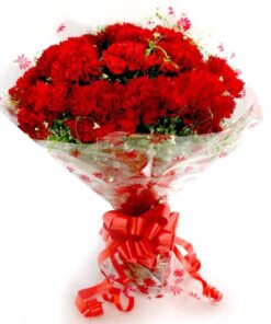 Red Carnation Bouquet with Cellophane