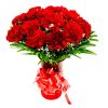 delightful red carnations