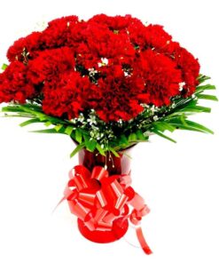 Red Carnations in a Vase