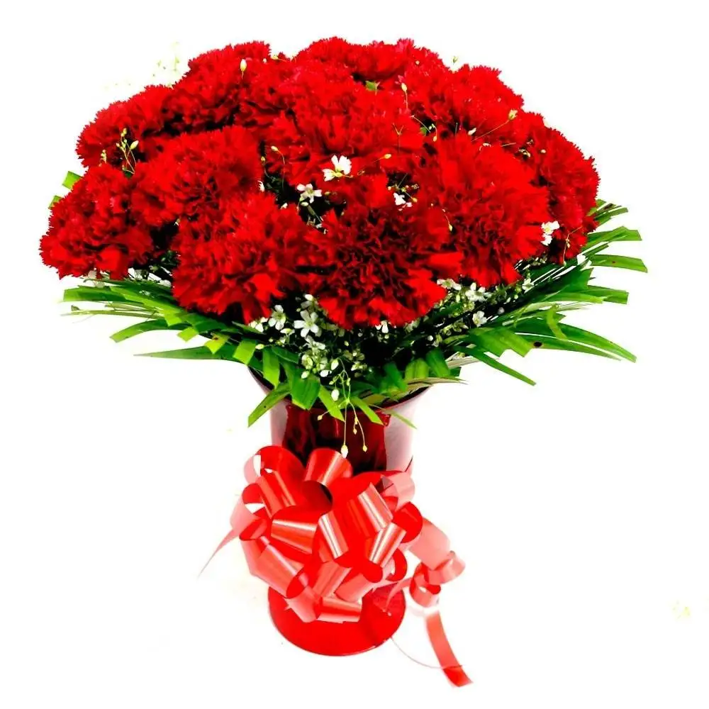 Red Carnations in a Vase