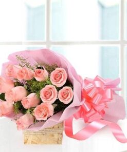 Delicate Pink Rose