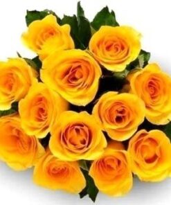 Classic Yellow Roses Bunch