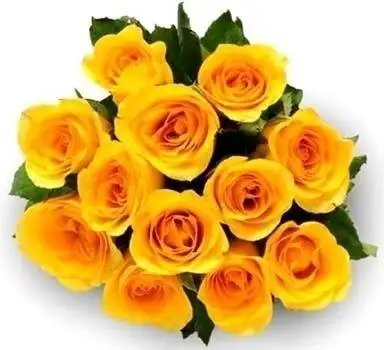 Classic Yellow Roses Bunch