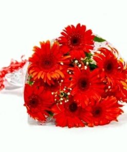 Red Gerberas Bouquet