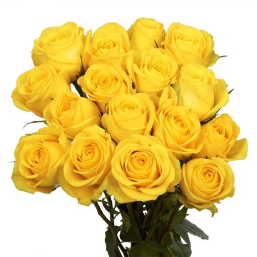 globalrose flower bouquets 50 yellow roses short 64 1000 1