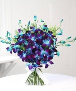 Glorious Blue Orchids Bunch