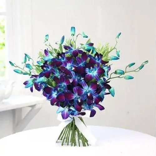 Glorious Blue Orchids Bunch
