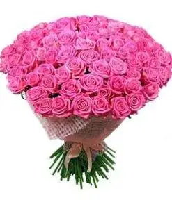 Bunch of 20 Pink Roses