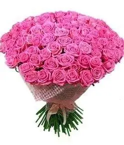 Bunch of 20 Pink Roses