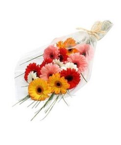 Colourfull Fresh Gerberas