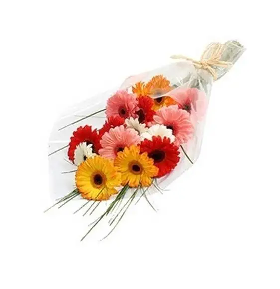 Colourfull Fresh Gerberas