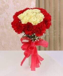 Mixed Carnation Set