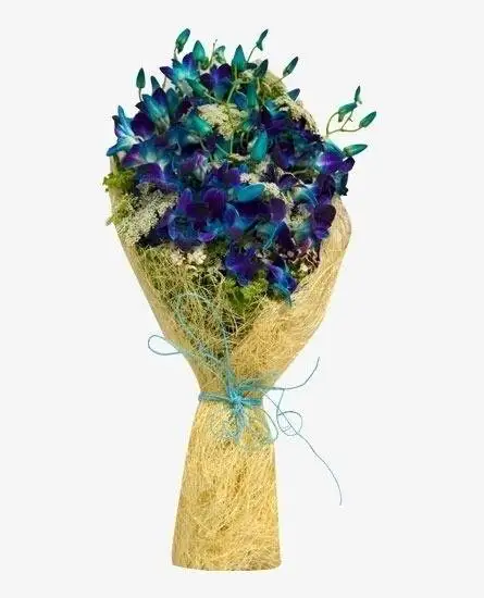 Yellow Roses For Father's  Special