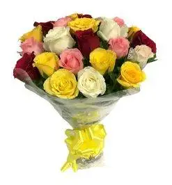 Mix Roses
