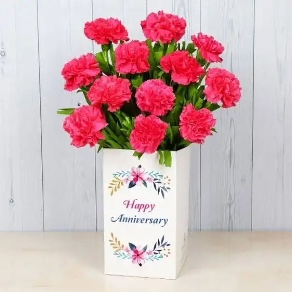 Carnations  Bunch