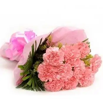 Pink Bouquet of Carnations