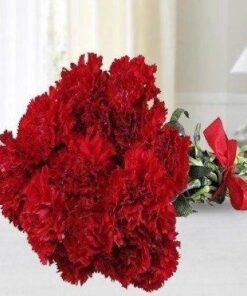 Pleasant with Red Carnations