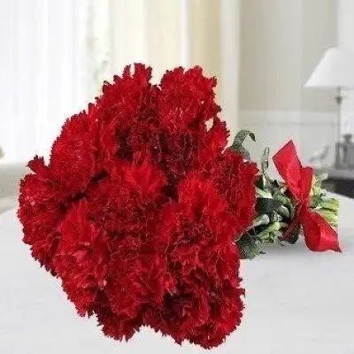 Pleasant with Red Carnations