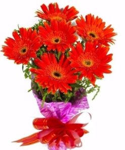 Gerbera's Bouquet